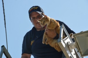 Rhome Volunteer Firefighter Katy Wacasey saved the day for this cat caught in a telephone wire in Boyd. Photo by Joe Duty.