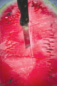 Melon-Celebration