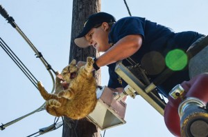 CATASTROPHE - Katy Wacasey, 23, a member of the Rhome Volunteer Fire Department, struggles to free a female cat that somehow got her leg stuck in a guide line high up a telephone pole Thursday morning in Boyd. Messenger photo by Joe Duty