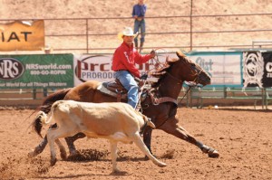 QUICK CATCH - Paradise eighth-grader Brett Stuart ropes a steer in the National High School Rodeo Association Junior Division finals in Gallup, N.M.  Submitted photo courtesy of Jennings Photography