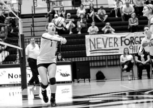 SETTING UP - Decatur's Stormi Leonard sets the ball Tuesday against Gainsville. Messenger photo by Joe Duty