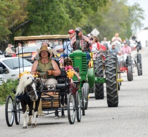 LEADING THE WAY - Teresa Cox drives her pony-powered wagon Saturday in the Greenwood Fall Festival's Parade. The parade highlighted  the event that raises money to support several community services, projects and organizations. Messenger photo by Joe Duty