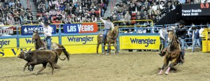 DOING IT AGAIN - Team ropers Patrick Smith (left) and Trevor Brazile, placed third in the fifth night of the Wrangler National Finals Rodeo in Las Vegas Monday. The money earned in those several seconds served as enough to give Brazile, of Decatur, his 10th all-around cowboy gold buckle. The pair also remains first in the team roping world standings. WNFR continues through Saturday and airs every night on GAC. Photo by Kirt Steinke/Western and Rodeo Images