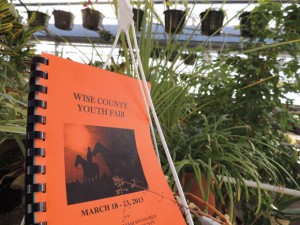BLOSSOMED IDEA - In addition to animal and baked good projects, this year's Wise County Youth Fair will include a new horticulture category with four divisions - Floral Arrangements, Container Grown Plants (combination of three or more plants), Hanging Baskets and Single Grown Plant (foliage or flowering). Messenger photo by Paris Walther