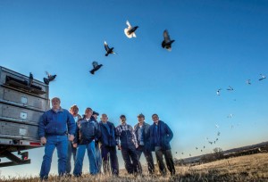 SWEET RELEASE - C.L. Gage and Kenny Kelley entertain a group of gentlemen in town from England to enjoy a three-week series of pigeon races held for the first time in Wise County. Messenger photo by Joe Duty