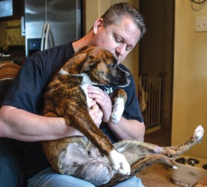 BACK FROM THE BRINK - James Tucciarone holds Ditch, nicknamed Lt. Dan, just days after surgery to remove one of the dog's legs. Ditch has adapted quickly to life as a tripod and can already run and play with other dogs. Messenger photo by Joe Duty