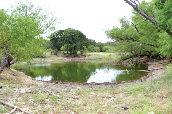 Empty-Pond.jpg Empty Pond