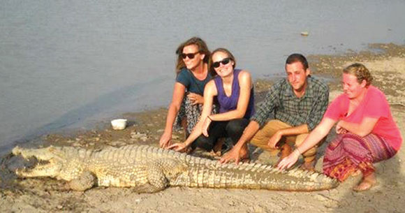 Sacred-Crocodile-of-Sabou.jpg Sacred Crocodile of Sabou