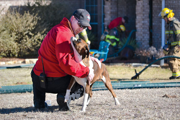 Canine-Rescue.jpg Canine Rescue