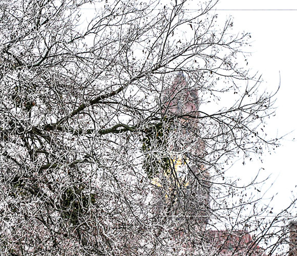 Winter-View.jpg Winter View