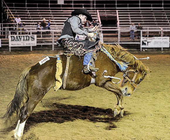 Bucking-Bronc.jpg Bucking Bronc