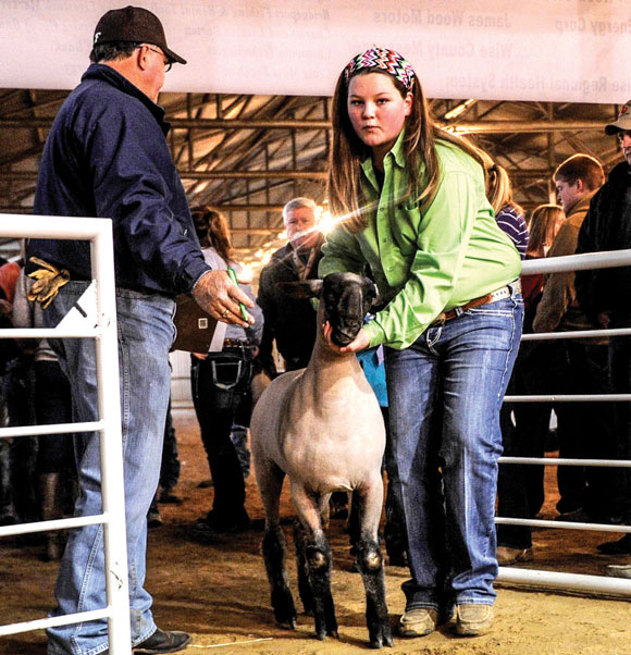 Champion-Market-Lamb.jpg Champion Market Lamb