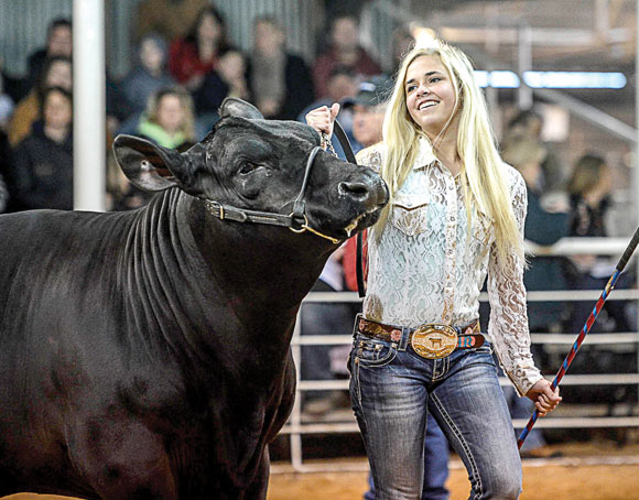 Grand-Champion-Steer.jpg Grand Champion Steer