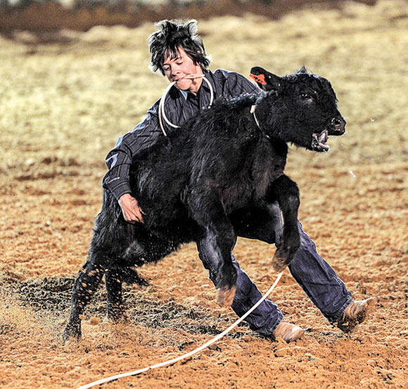 Picture-of-Perseverance.jpg Picture of Perseverance