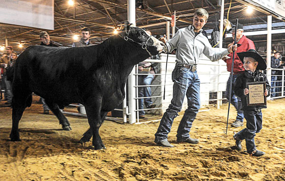 Reserve-Champion-Steer.jpg Reserve Champion Steer