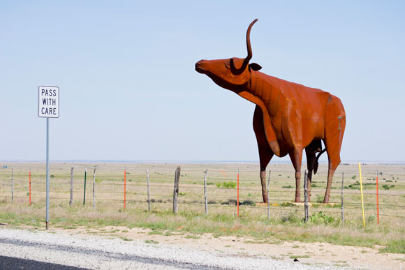 Big-Bovine.jpg Big Bovine