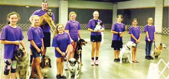 Canine-Competition.jpg Canine Competition