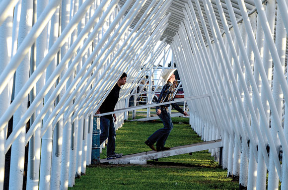 Shelter-from-the-Sun.jpg Shelter from the Sun